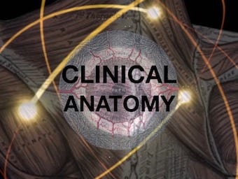BSCC Clinical Anatomy 340