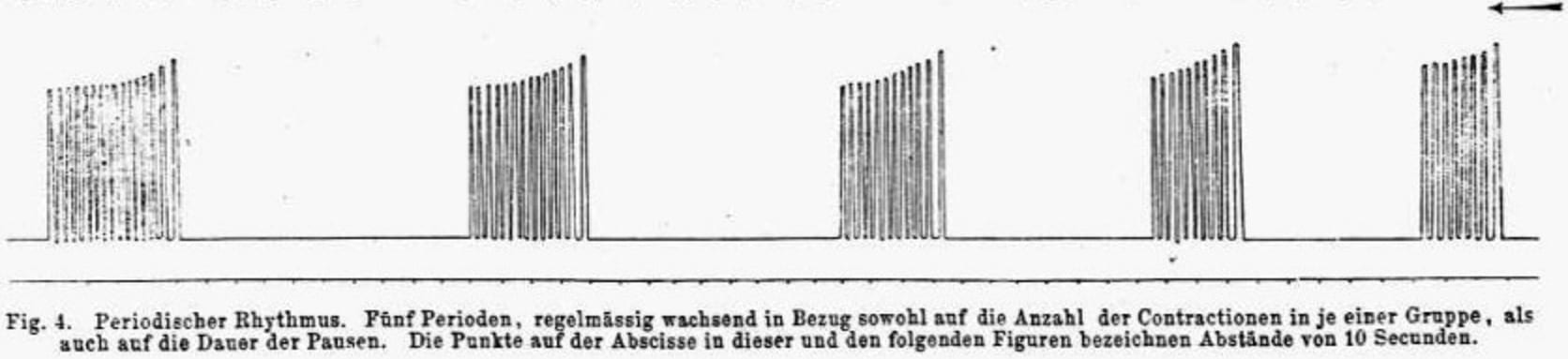 Luciani Periods