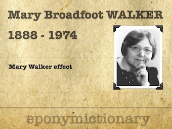 Mary Broadfoot Walker (1888 – 1974) 340
